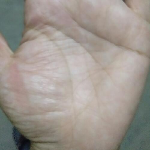 สมาชิกหมายเลข 4843311