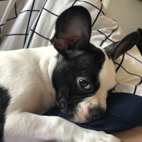 สมาชิกหมายเลข 3435936