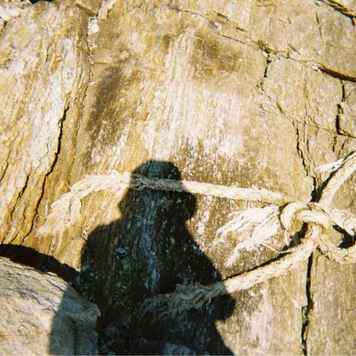 สมาชิกหมายเลข 4457734