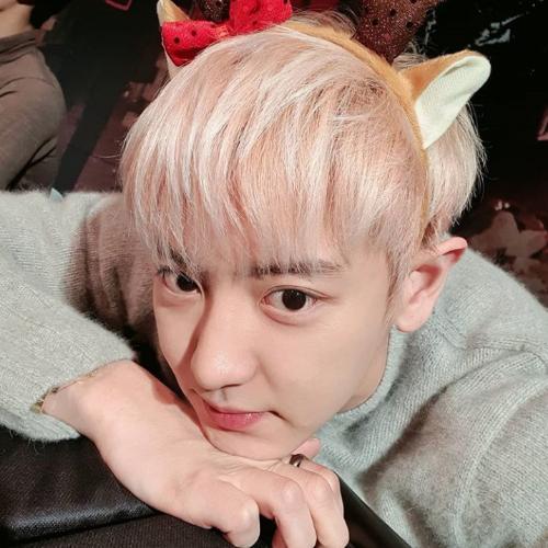 สมาชิกหมายเลข 5655217