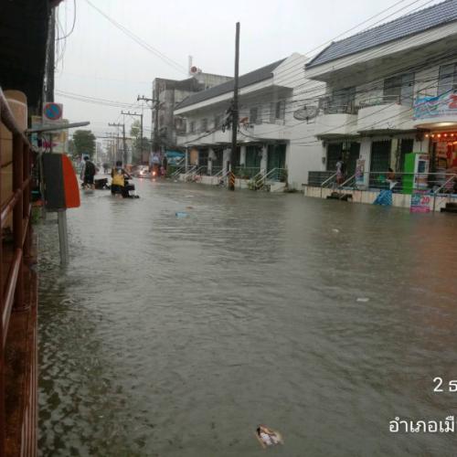 สมาชิกหมายเลข 6229110