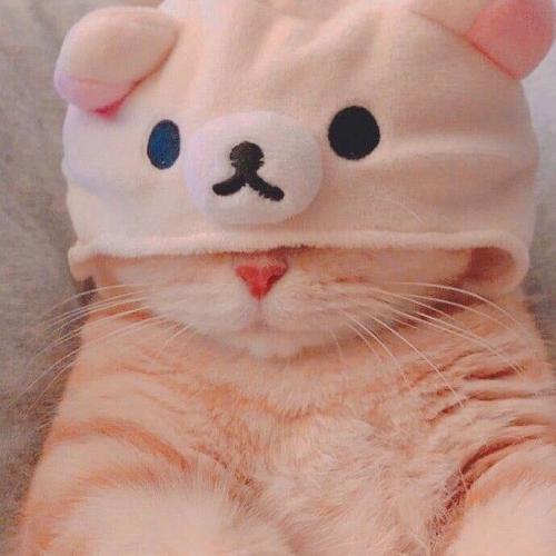 สมาชิกหมายเลข 6836024