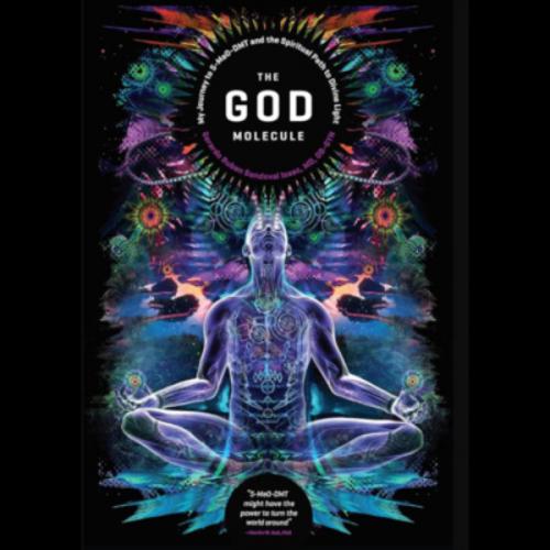 สมาชิกหมายเลข 8586556