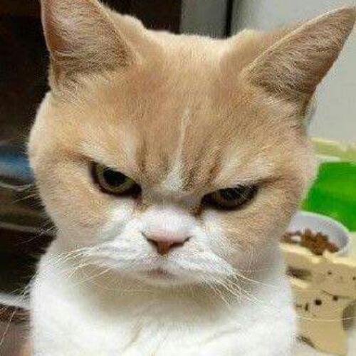 สมาชิกหมายเลข 4410279