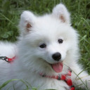 สมาชิกหมายเลข 4719944