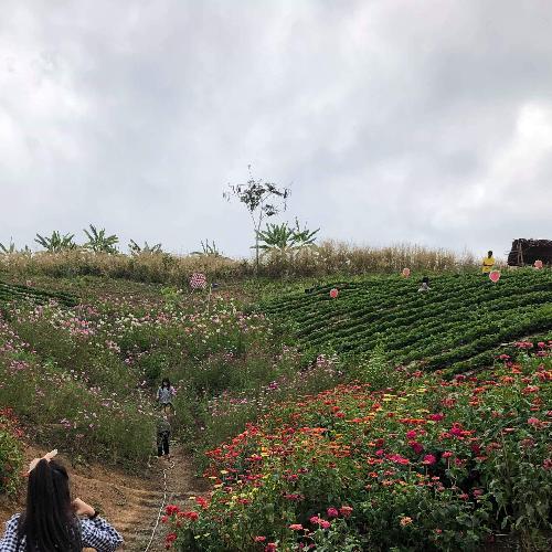 สมาชิกหมายเลข 5230580