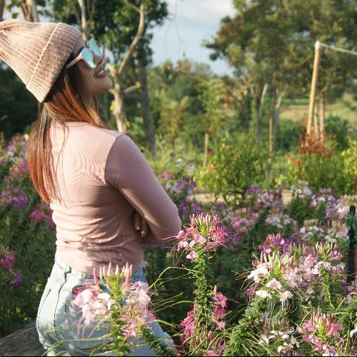 สมาชิกหมายเลข 4510404