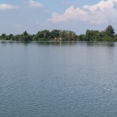 สมาชิกหมายเลข 5656048