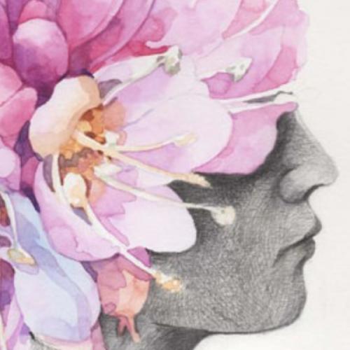 สมาชิกหมายเลข 6881496