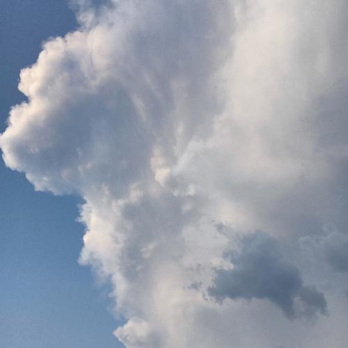 สมาชิกหมายเลข 7645402