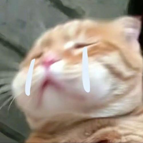 สมาชิกหมายเลข 7743856