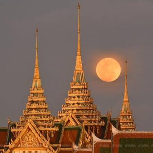 สมาชิกหมายเลข 3333219