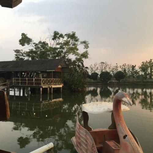 สมาชิกหมายเลข 4399466