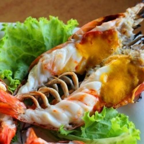 สมาชิกหมายเลข 4508281