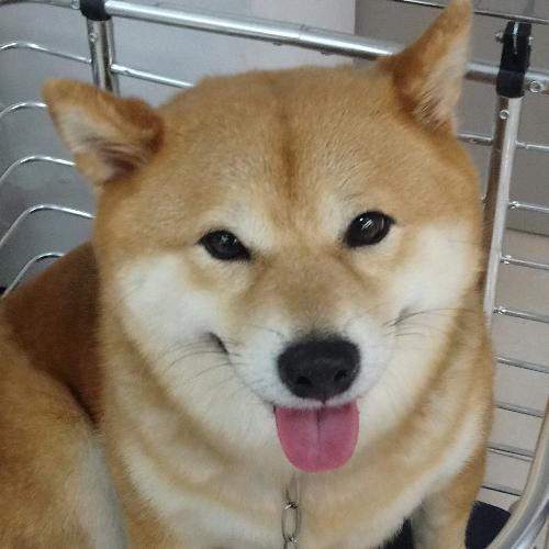 สมาชิกหมายเลข 4843810