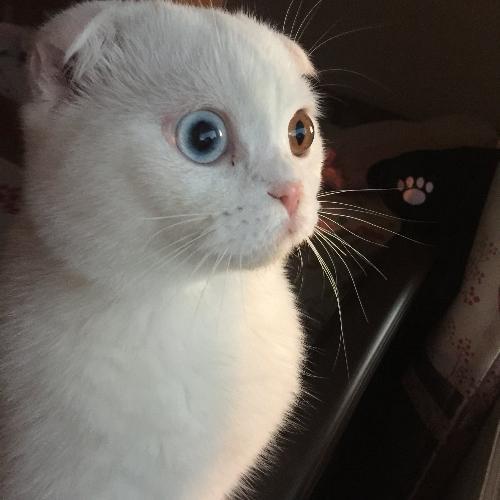 สมาชิกหมายเลข 4843875