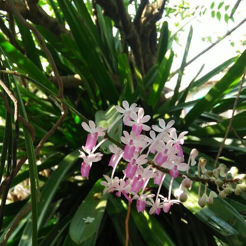 สมาชิกหมายเลข 4844122