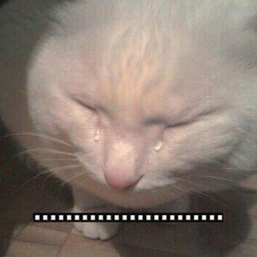 สมาชิกหมายเลข 4483392