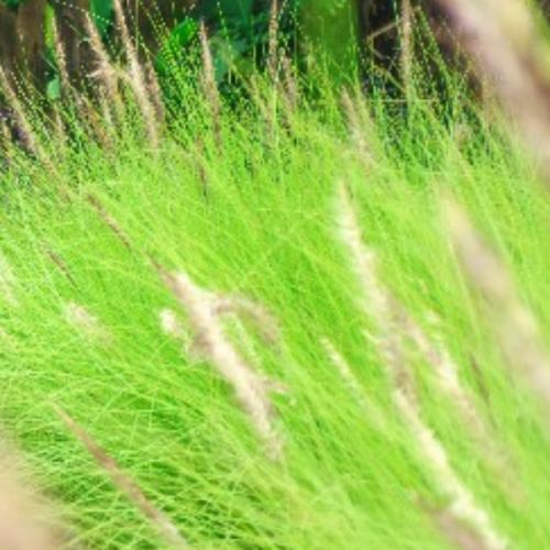 สมาชิกหมายเลข 1694242