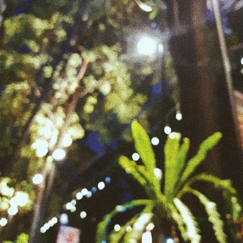 สมาชิกหมายเลข 4741764