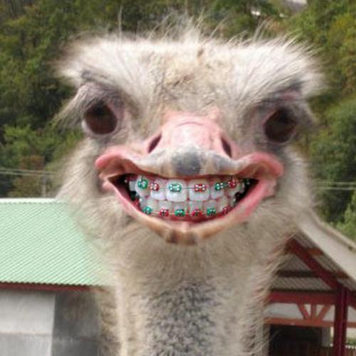 สมาชิกหมายเลข 6230187