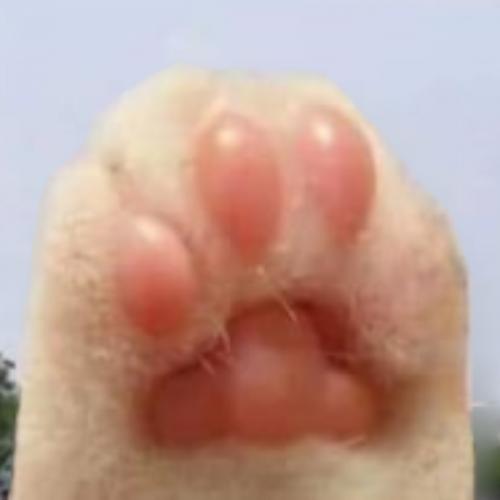 สมาชิกหมายเลข 6230348