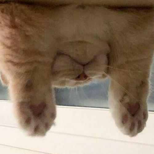 สมาชิกหมายเลข 6727676