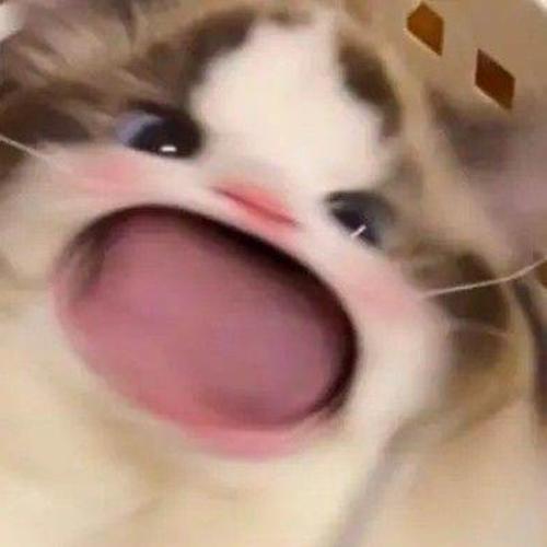 สมาชิกหมายเลข 7637739