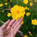 สมาชิกหมายเลข 3421200