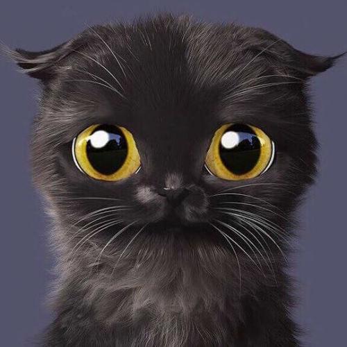 สมาชิกหมายเลข 4058224