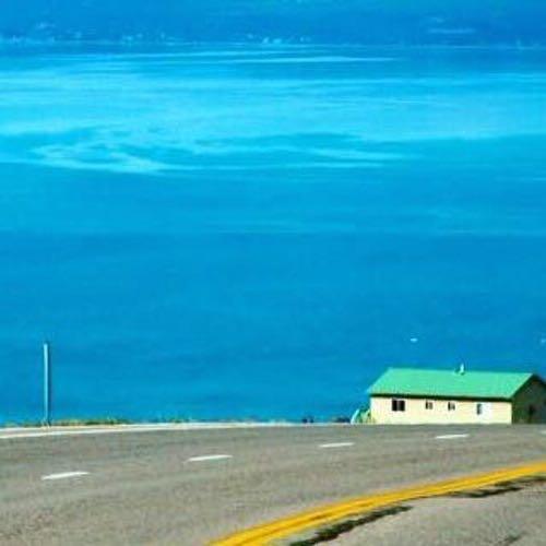 สมาชิกหมายเลข 4508832