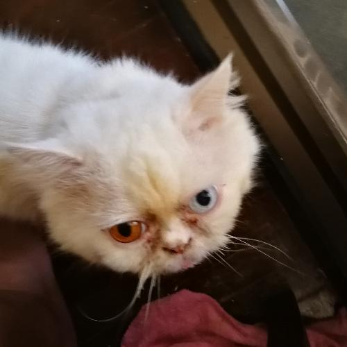 สมาชิกหมายเลข 4981072