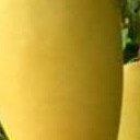 สมาชิกหมายเลข 5085611