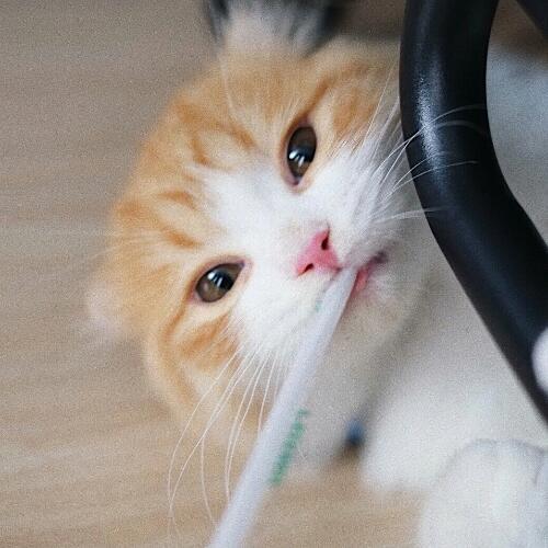 สมาชิกหมายเลข 5656944