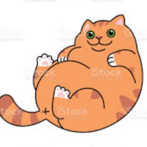 สมาชิกหมายเลข 3760207