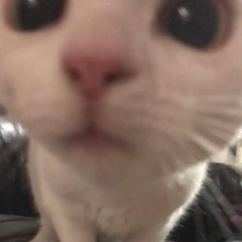 สมาชิกหมายเลข 1386962