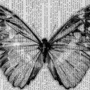 สมาชิกหมายเลข 4058677