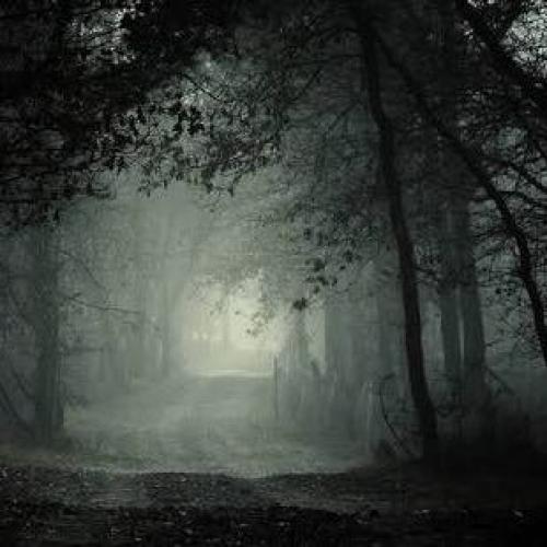 สมาชิกหมายเลข 4058786