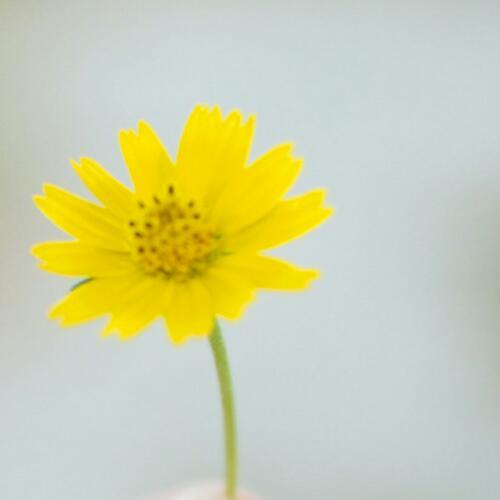 สมาชิกหมายเลข 4127084