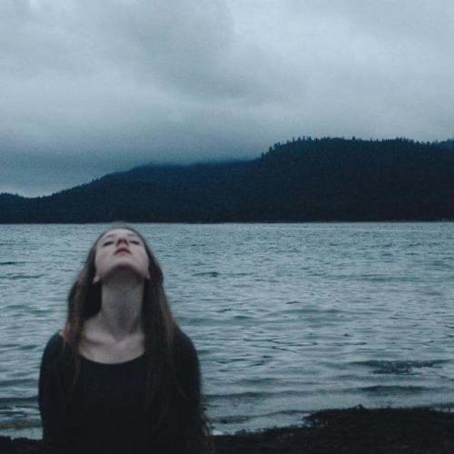 สมาชิกหมายเลข 4508908