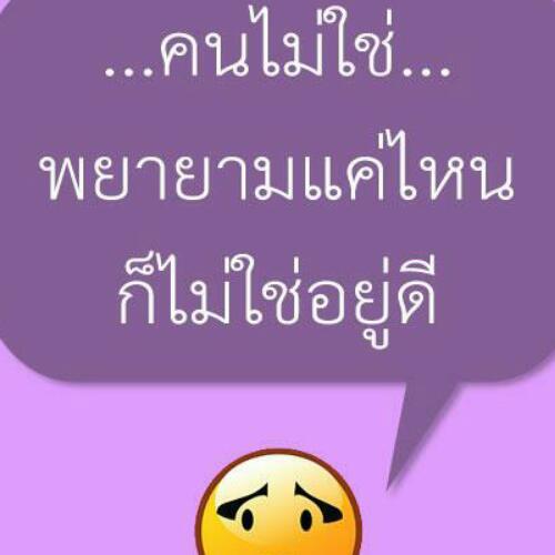 สมาชิกหมายเลข 4844546