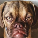 สมาชิกหมายเลข 5232200