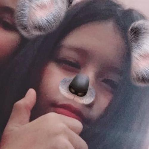 สมาชิกหมายเลข 5232202