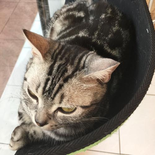 สมาชิกหมายเลข 5232367