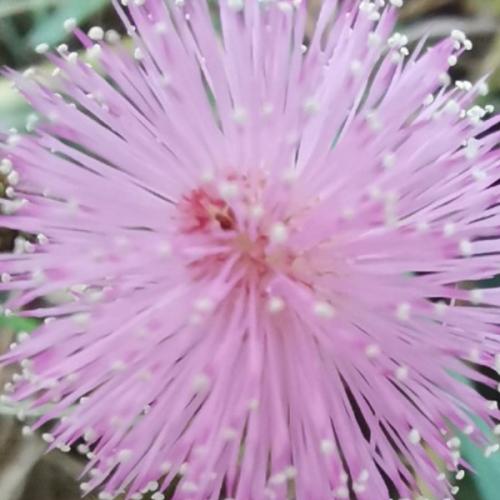 สมาชิกหมายเลข 5657551