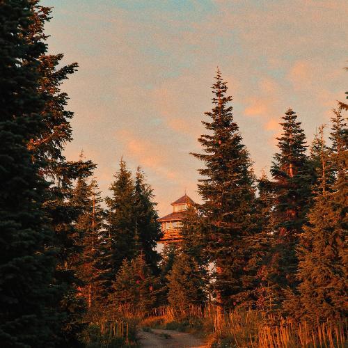 สมาชิกหมายเลข 5420911