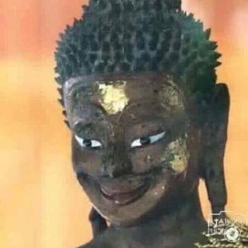 สมาชิกหมายเลข 6231825