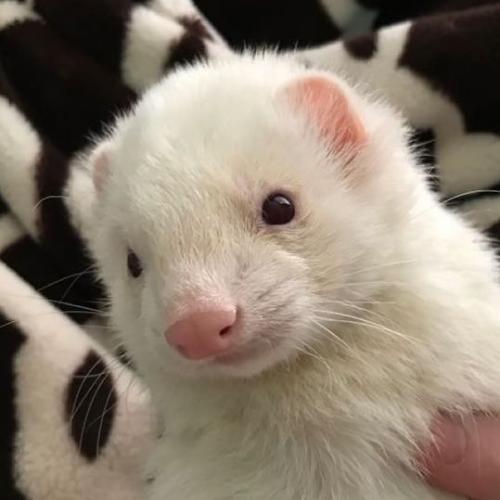 สมาชิกหมายเลข 7648038