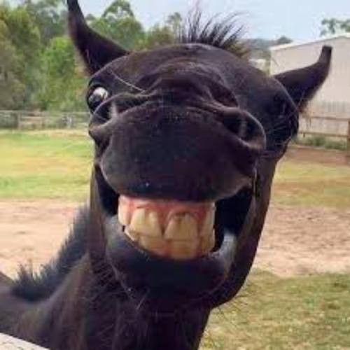 สมาชิกหมายเลข 4108023