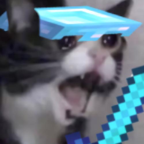 สมาชิกหมายเลข 7628270